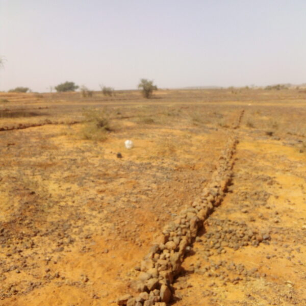 Réalisation des ouvrages de CES/DRS (cordon pierrée) à Ganguel. Réalisation des ouvrages de CES/DRS (cordon pierrée) à Ganguel.