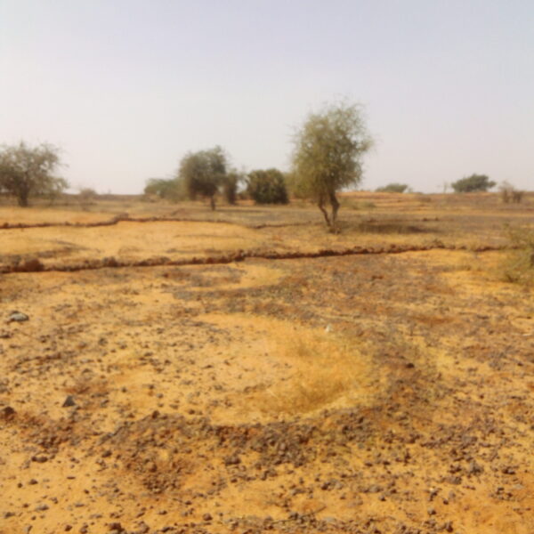 Réalisation des ouvrages de CES/DRS (cordon pierrée) à Ganguel. Réalisation des ouvrages de CES/DRS (cordon pierrée) à Ganguel.